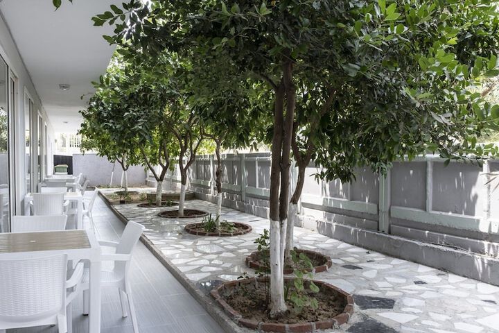 Terrace/Patio 30 of 33