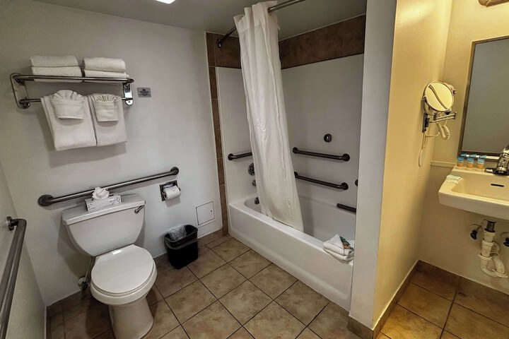 1 King Bed Accessible Hearing Roll in Shower (13 of 16)