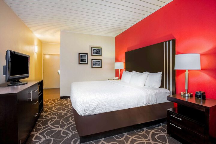 1 King Bed (6 of 10)