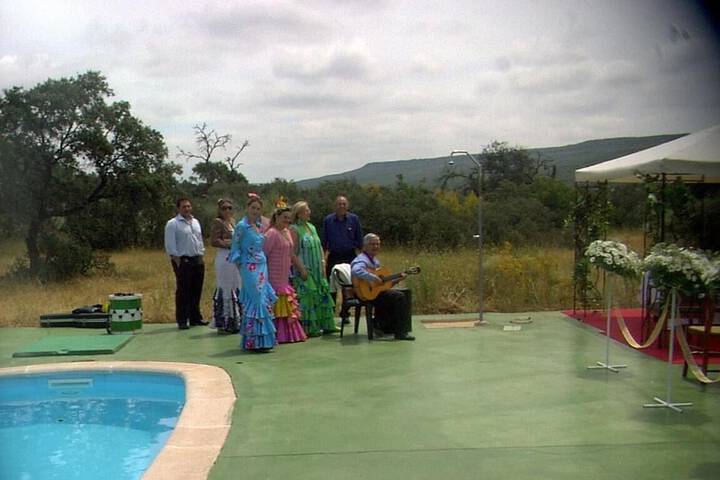 Hotel Pool