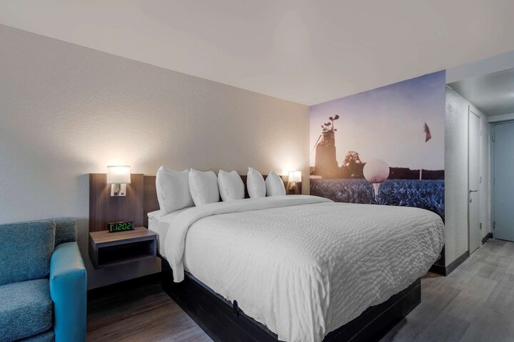 1 King Bed (16 of 16)