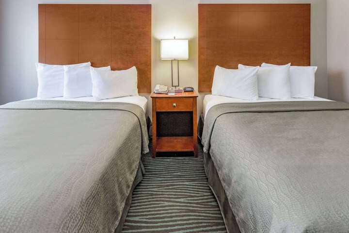1 Queen Bed Mobility Accessible (6 of 14)