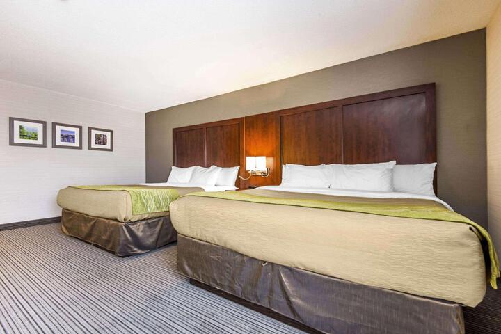 1 King Bed (3 of 10)