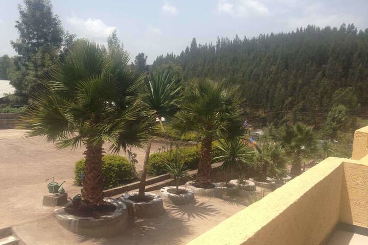 Hotel Exterior 2 of 9