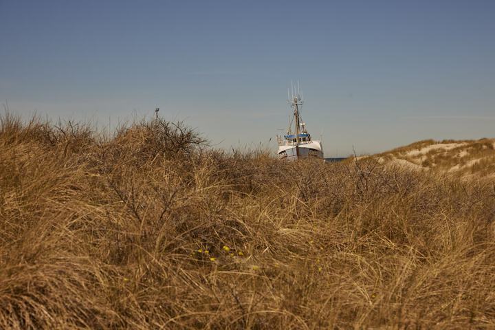 Beach 46 of 57