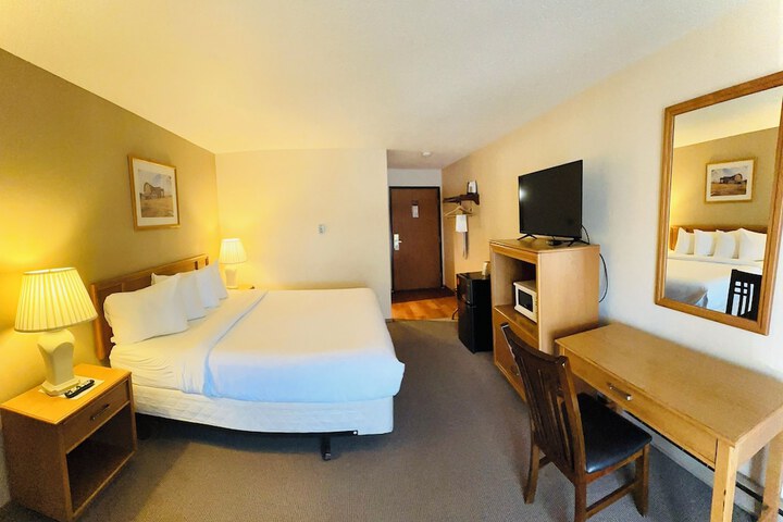 Standard King Bed Pet Friendly (10 of 15)
