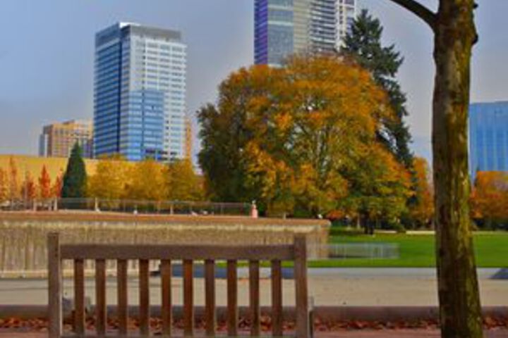 Property Grounds 59 of 62