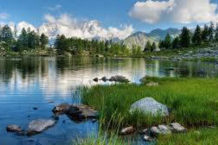 Photo 28