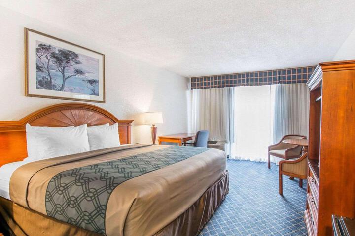 1 King Bed (8 of 11)