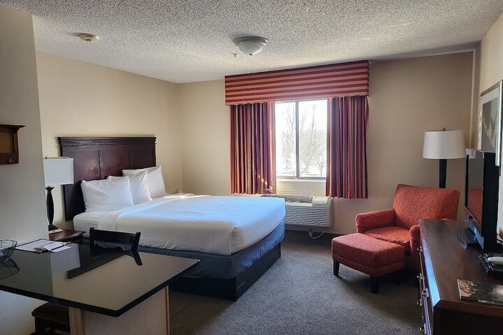 Studio Suite Queen Bed (8 of 9)