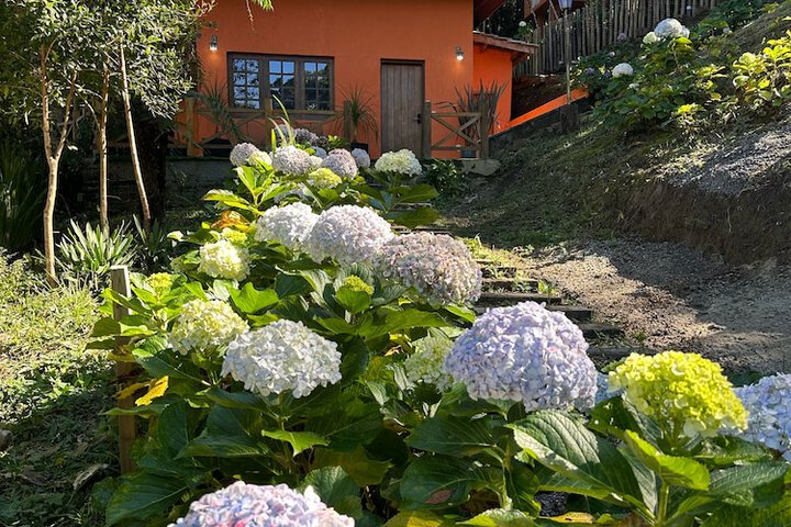 Terrace/Patio 120 of 166