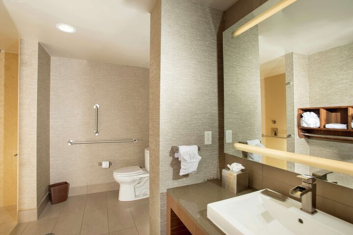 1 King Accessible with Roll in Shower Walnut View (10 of 19)