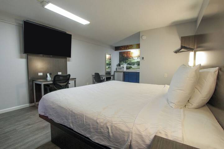 1 King Bed Pet Friendly Accessible (42 of 90)