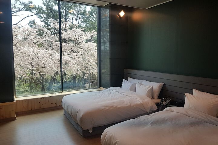 Room 12 of 69