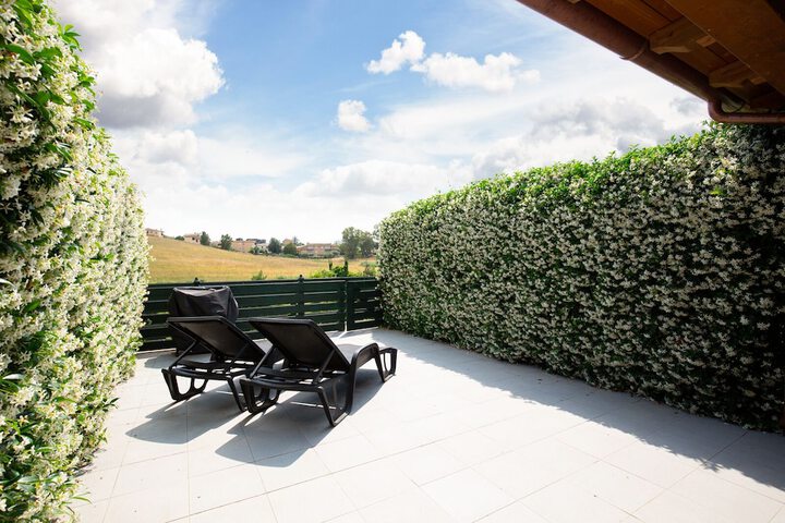 Terrace/Patio 65 of 111