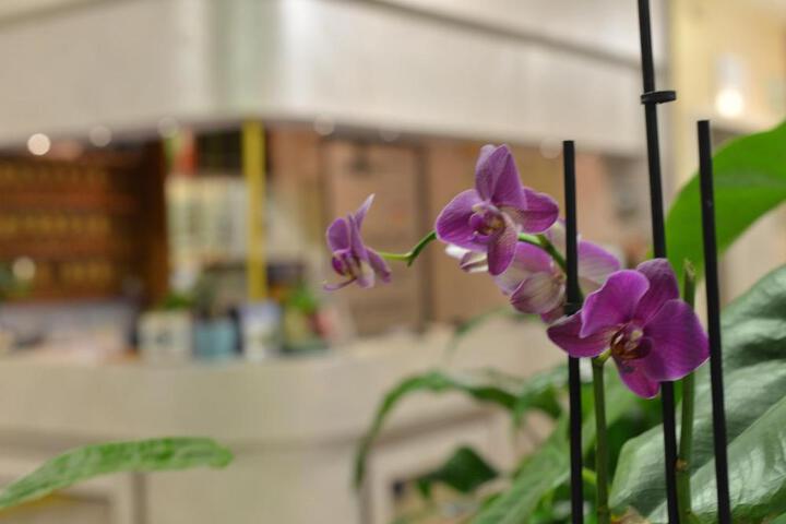 Fitness Facility Photos