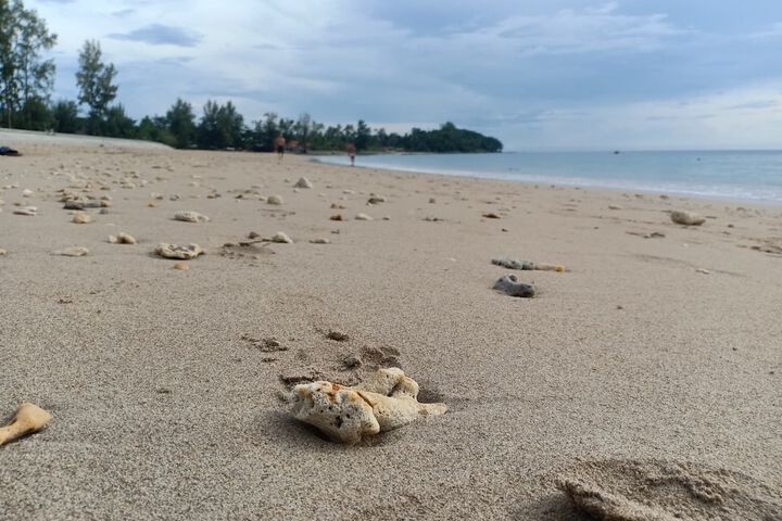 Beach 16 of 21