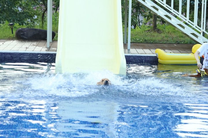 Pool 160 of 218