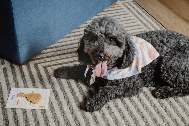 Pet-friendly