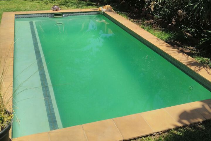 Pool Photo