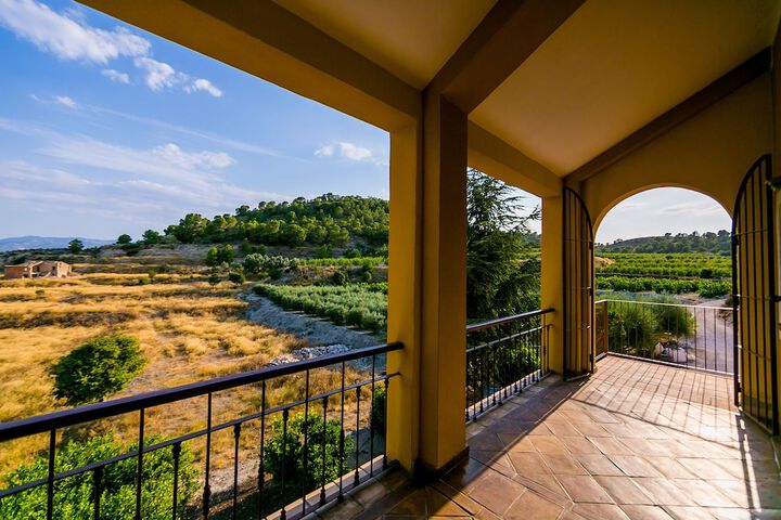 Terrace/Patio 59 of 67