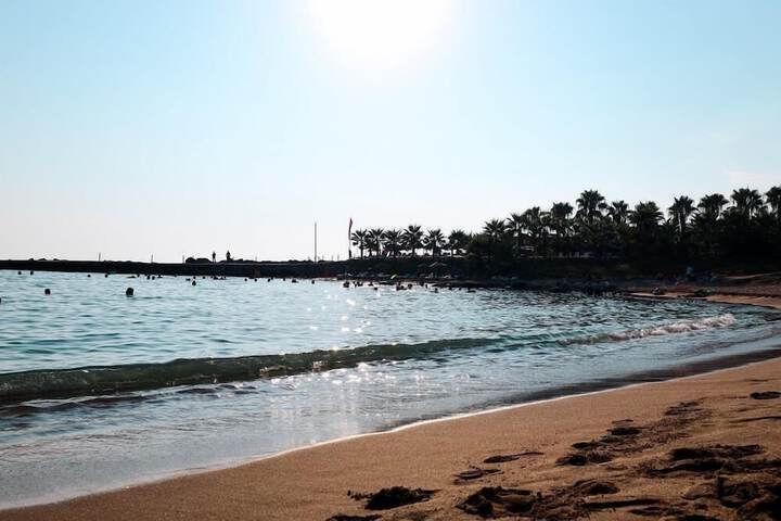 Beach 50 of 74