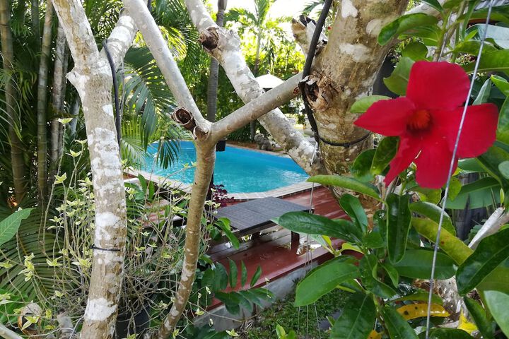 Pool Hotel
