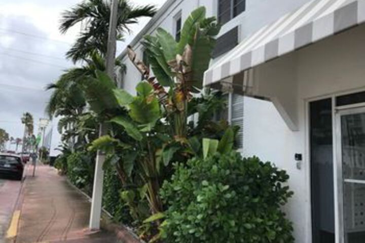 Hotel 10 of 10