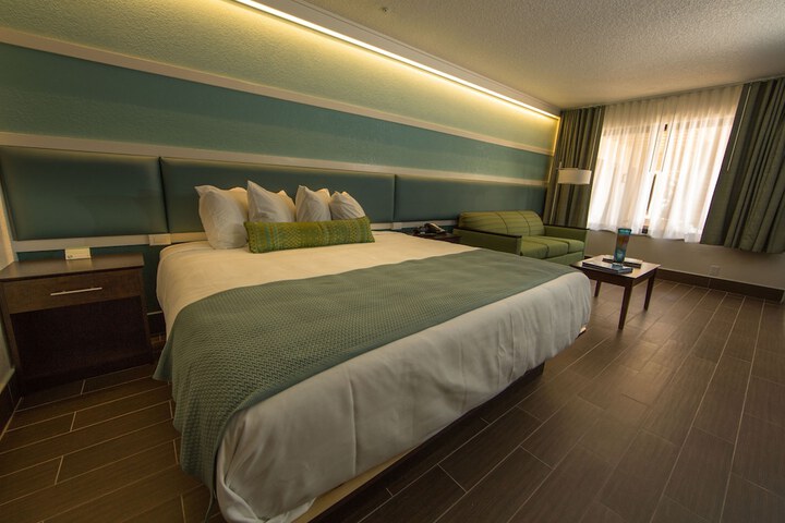 1 King Bed Accessible (2 of 14)
