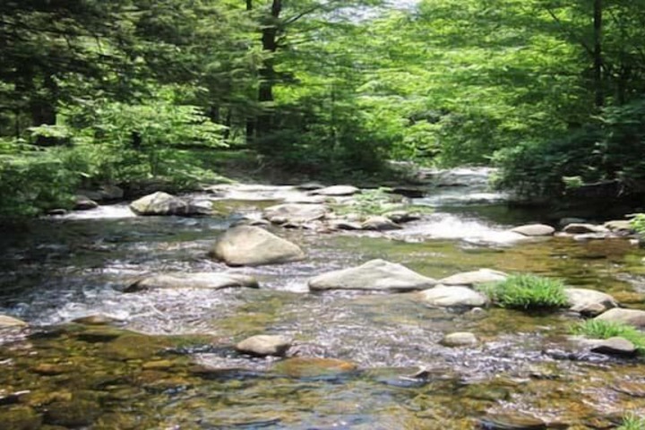 Property Grounds 28 of 52