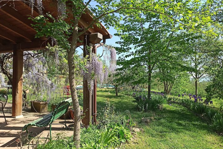 Terrace/Patio 19 of 65