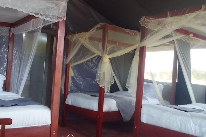 Room 6 of 55