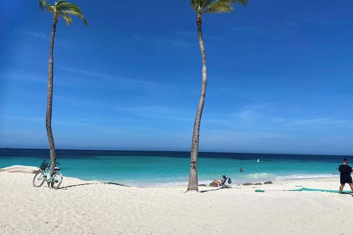 Beach 64 of 81