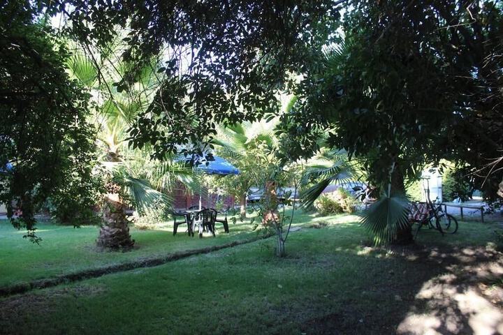 Property Grounds 25 of 53
