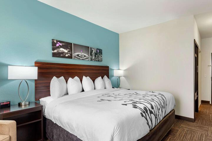 1 King Bed (3 of 13)