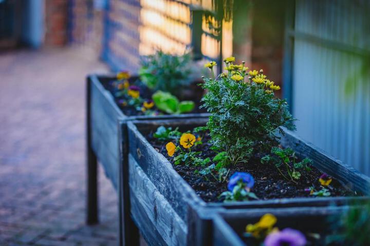 Spa and Wellness Pictures