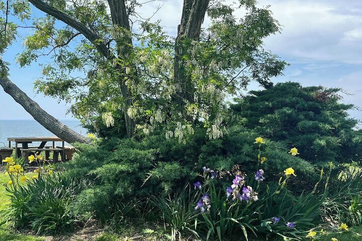 Property Grounds 43 of 51