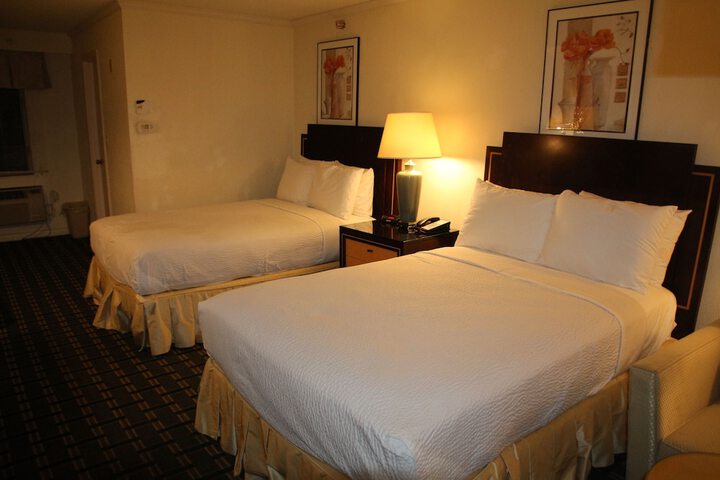 Deluxe 2 Double Beds (5 of 8)