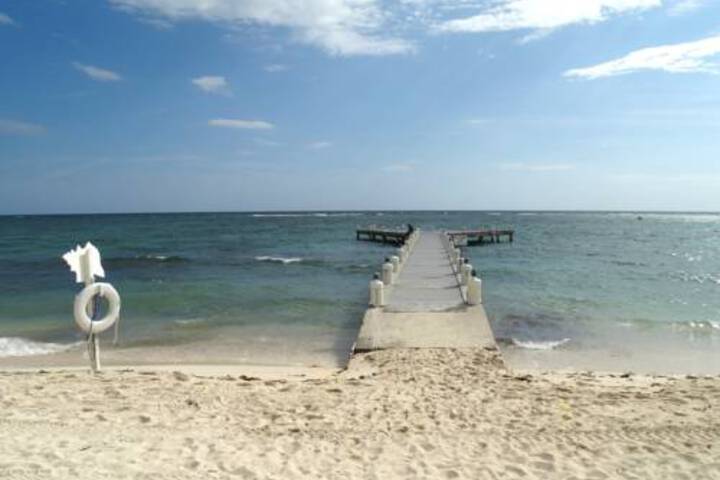 Beach 1 of 13