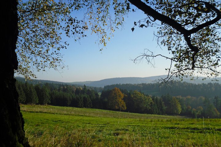 Hiking