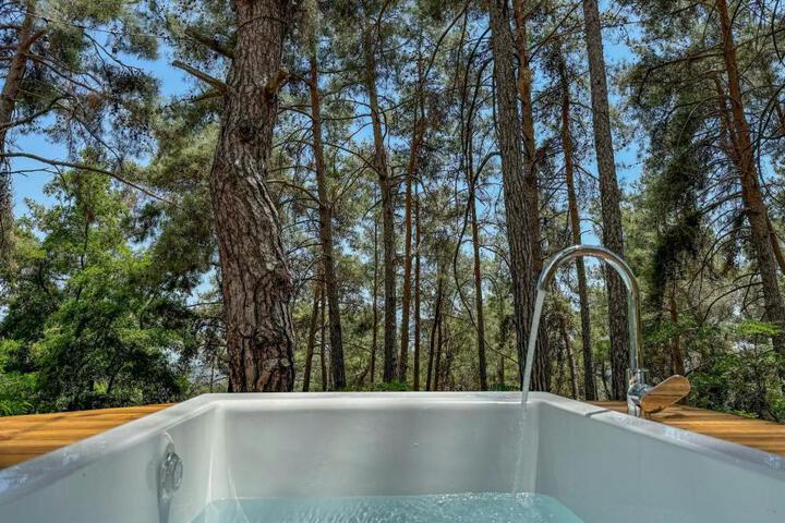 Spa and Wellness Pictures