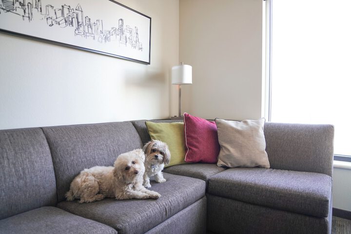 Pet Friendly 38 of 44