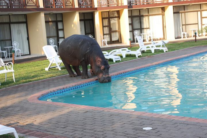 Pool 51 of 91