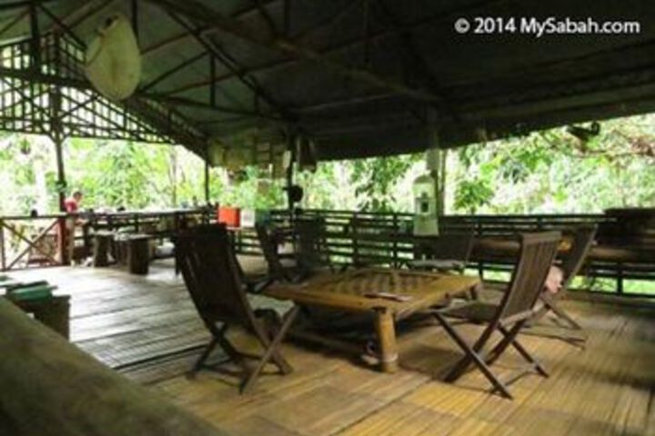 Lupa Masa Jungle Camp