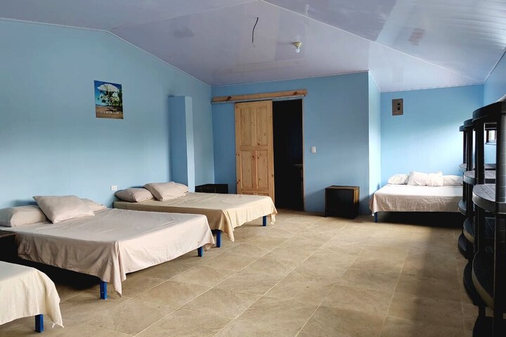 Room 6 of 51