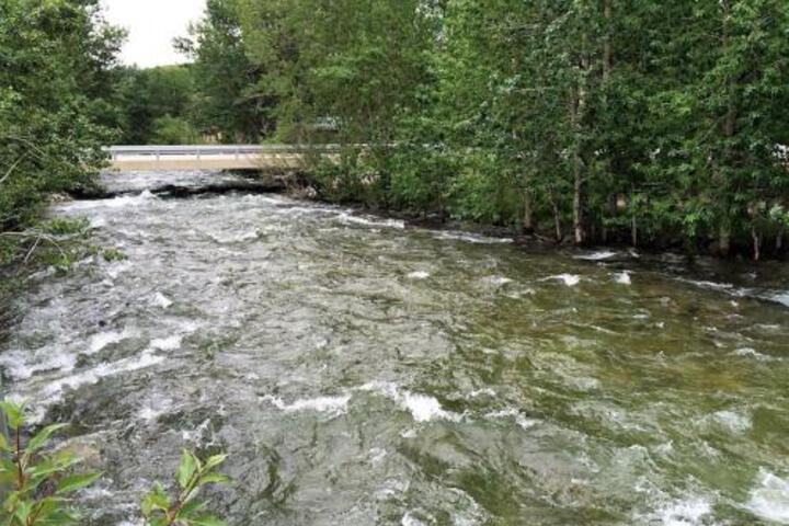 Photo 5