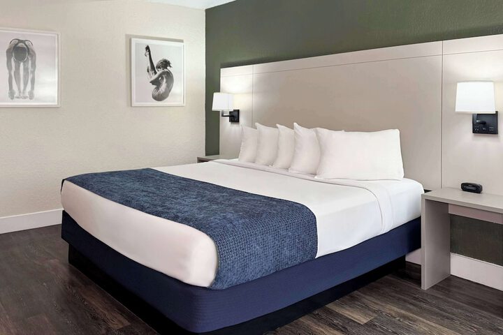 1 King Bed Mobility Accessible Bathtub with Grab Bars (19 of 24)