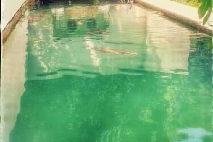 Pool 18 of 35