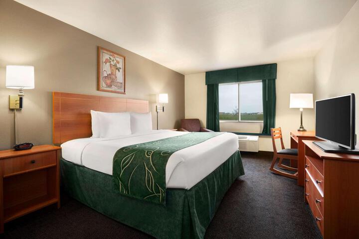 1 King Bed (6 of 10)
