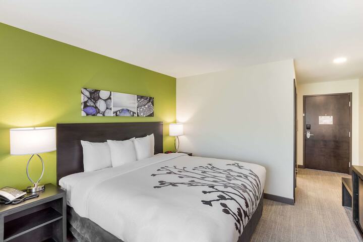 1 King Bed (5 of 13)